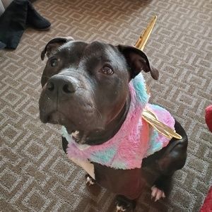 Meet your Posher, Alauna